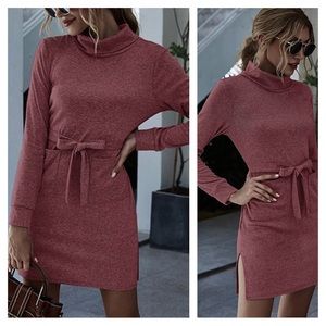 Mauve Turtleneck Long Sleeve Mini Dress NWT